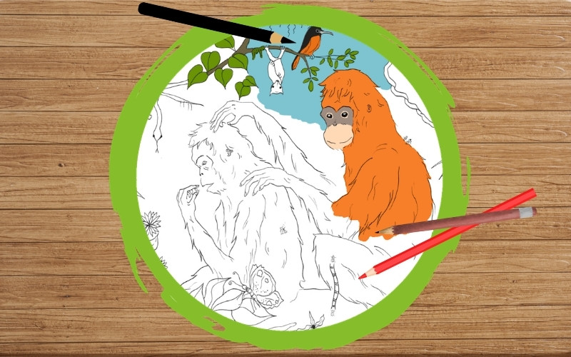 Grafik: Auf einem Hintergrund mit Holzstruktur ist ein dicker grüner Kreis gezeichnet. Daneben liegen drei Malstifte. Innerhalb des Kreises ist ein Ausschnitt eines Ausmalbildes abgebildet. Der Ausschnitt zeigt zwei Orang-Utans beim Lausen.