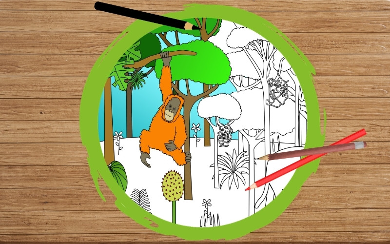 Grafik: Auf einem Hintergrund mit Holzstruktur ist ein dicker grüner Kreis gezeichnet. Daneben liegen drei Malstifte. Innerhalb des Kreises ist ein Ausschnitt eines Ausmalbildes abgebildet. Der Ausschnitt zeigt einen Orang-Utan im Regenwald.