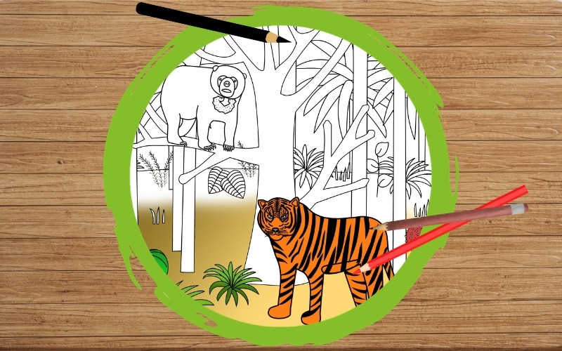 Grafik: Auf einem Hintergrund mit Holzstruktur ist ein dicker grüner Kreis gezeichnet. Daneben liegen drei Malstifte. Innerhalb des Kreises ist ein Ausschnitt eines Ausmalbildes abgebildet. Der Ausschnitt zeigt einen Malaienbär und einen Sumatra-Tiger im Regenwald.