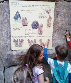 Mehrere Kinder stehen vor einer Informationstafel im Pongoland des Zoo Leipzig.