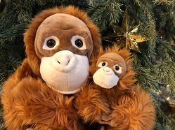 Ein kleiner und ein großer Plüsch-Orang-Utan sitzen in einem Weihnachtsbaum und schauen in die Kamera.