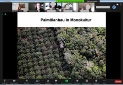 Ein Screenshot einer Zoom-Konferenz mit diversen Teilnehmern, einer Präsentation mit dem Thema „Palmölanbau in Monokultur“.