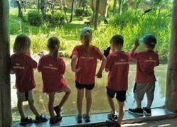 Vorschulkinder schauen sich durch ein großes Glasfenster Menschenaffen im Zoo Leipzig an.