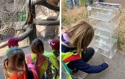 Grundschüler im Zoo Leipzig.