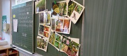 Verschiedene Bilder hängen an der Tafel.