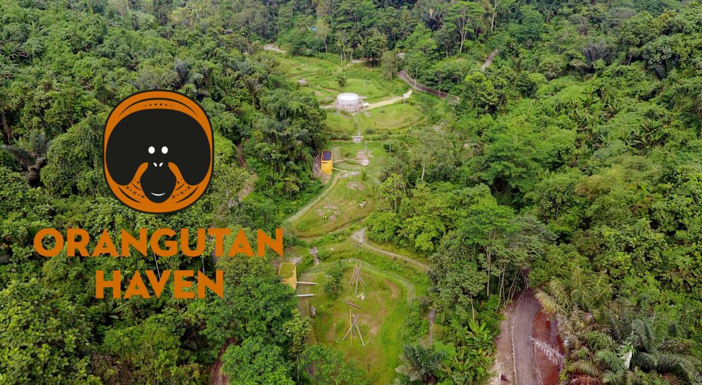 Drone picture of the Orangutan Haven on Sumatra, including the Orangutan Haven logo.
