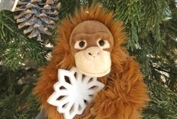 Ein Plüsch-Orang-Utan mit einem Weihnachtsstern in der Hand sitzt in einem Tannenbaum.