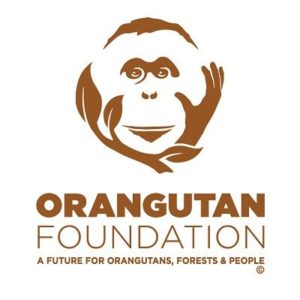 Logo der Orangutan Foundation.