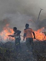 Indonesier bekämpfen einen Buschbrand mit einem Gartenschlauch.