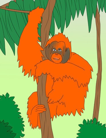 Zeichnung eines Orang-Utans im Regenwald.