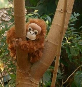 Ein Plüsch-Orang-Utan sitzt in einer Astgabel.