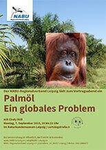 Ein Plakat zum Palmölvortrag im Naturkundemuseum Leipzig. Es zeigt das Porträt eines Orang-Utans im Vordergrund und eine Palmölplantage im Hintergrund.