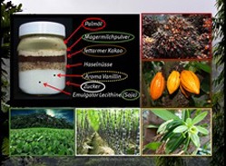 Anschauungsplakat für ein BFD Seminar. Abgebildet sind Palm- und Kakaofrüchte, Sojapflanzen und die Zusammensetzung von Nutella.