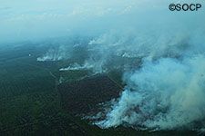 Aufnahme eines großen Waldbrandes aus der Luft.