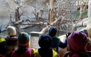 Die Kinder der KiTa Arche Noah schauen in das Orang-Utan-Gehege im Zoo Leipzig.