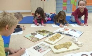 Kindergartenkinder sitzen in einem Kreis um Orang-Utan-Informationsmaterial.
