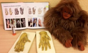 Plüsch-Orang-Utan neben einigen Informationsmaterialien zu Orang-Utans, einschließlich Hand- und Fußabdrücken von Orang-Utans.