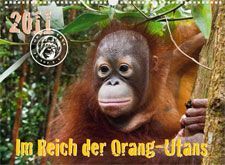 Das Deckblatt des Orang-Utans in Not Kalenders 2011.