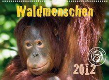 Deckblatt des Orang-Utans in Not Kalenders 2012.