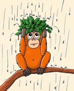Cartoon-Zeichnung von Rimba, der im Regen auf einem Ast sitzt und sich mit Blättern über dem Kopf vor dem Regen schützt.