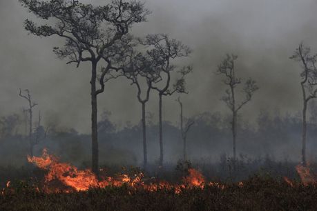 Brandrodung im Regenwald. Am Boden lodern Feuer und Rauch steigt in den Himmel auf.