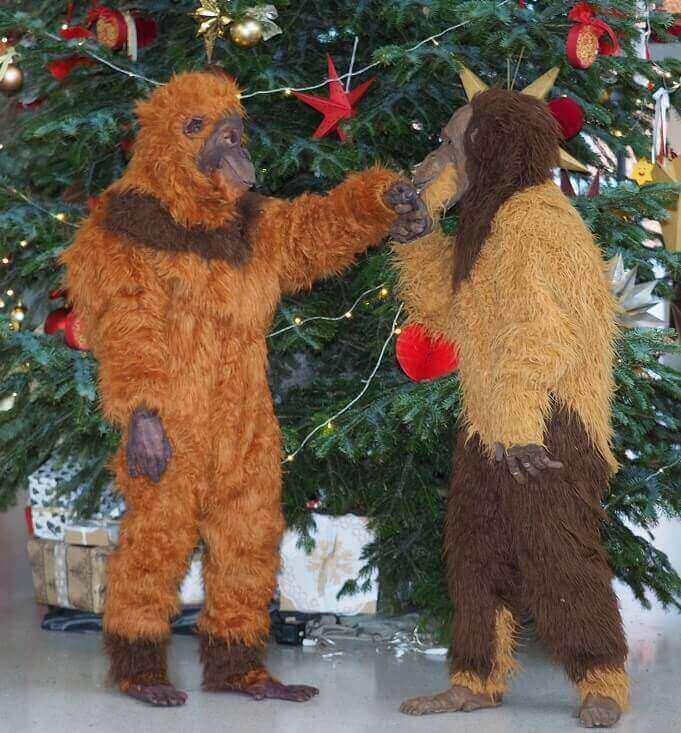 Zwei Mitglieder in Orang-Utan-Kostümen stehen vor einem dekorierten Weihnachtsbaum.