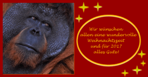 Eine Weihnachtsgrußkarte mit einem Orang-Utan und Weihnachtswünschen. Auf der Karte steht „Wir wünschen allen eine wundervolle Weihnachtszeit und für 2017 alles Gute.“