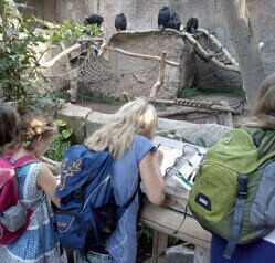 Mehrere Schüler beobachten Schimpansen im Innenbereich des Pongoland im Zoo Leipzig.