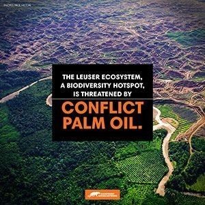 Ein Werbeplakat, das auf die Bedrohung des Leuser-Ökosystems durch Palmölplantagen und illegale Holzwirtschaft hinweist.