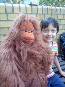 Ein Junge hält unsere Orang-Utan-Handpuppe Ginting in die Kamera.