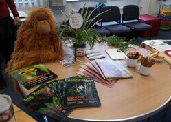 Unser Orang-Utan-Plüschmaskottchen auf einem Tisch neben einigen Infomaterialien.