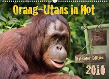 Deckblatt des Orang-Utans in Not Kalenders 2010.