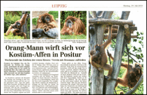 Zeitungsartikel über das Orang-Utan Wochenende im Zoo Leipzig.