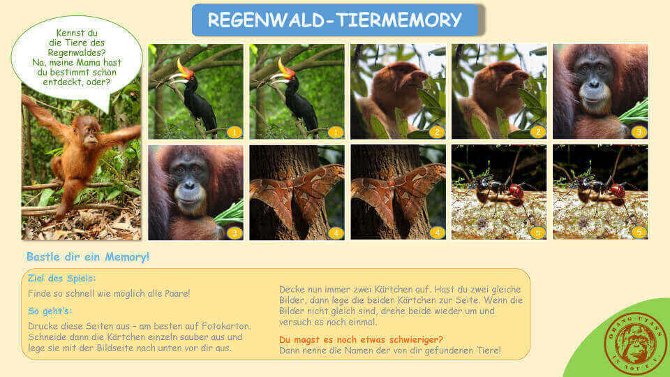 Erste Seite des Bastelbogens für das Regenwald-Tiermemory. Abgebildet sind einige Bild-Paare des Spiels und die Bastelanleitung. Am linke Rand ist ein Orang-Utan mit einer Sprechblase abgebildet. In der Sprechblase steht: „Kennst du die Tiere des Regenwaldes? Na, meine Mama hast du bestimmt schon entdeckt, oder?“