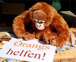 Plüsch-Orang-Utan mit einem Schild mit der Aufschrift "Orangs helfen!".