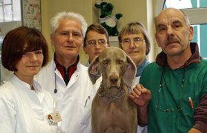 Ein Gruppenfoto mit Frau Dr. Seidel, Herrn Dr. Seidel, Frau Lehmann, Frau Teichgräber (beide Tierarzthelferin) und Dr. Neumann (v.l.n.r). In der Mitte: Hund Emma