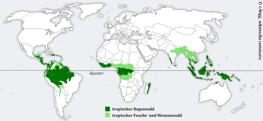 Eine Weltkarte, bei der die tropischen Regenwälder und die tropischen Feucht- und Monsunwälder markiert sind.