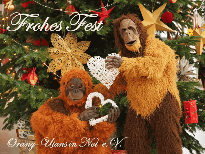 Zwei Mitglieder in Orang-Utan-Kostümen stehen vor einem dekorierten Weihnachtsbaum und halten zwei Herzen hoch.