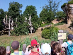 Eine Gruppe Kinder schaut in ein Affengehege im Pongoland Leipzig.