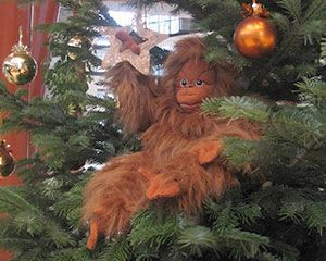 Ein Plüsch-Orang-Utan sitzt auf den Zweigen eines geschmückten Weihnachtsbaums.