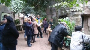 Die BFDler laufen durch das Pongoland im Leipziger Zoo.