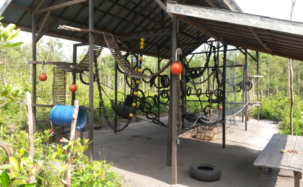 Orangutan Playground at the sanctuary. There are many climbing rings, swings and many other employment opportunities for orangutans.