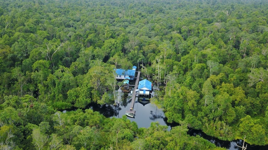 Aerial view of the Lamandau River Wildlife Reserve.