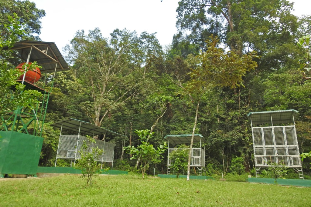 Enclosures of the reintroduction station.