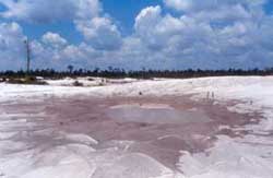 Close-up from a former mining pit. The rainforest has given way to white, toxic mud.