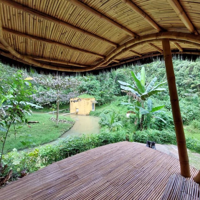 Blick aus dem Besucherunterstand auf eine Insel mit Orang-Utan-Haus. Zu sehen sind außerdem die Dach- und Bodenkonstruktion aus Bambus.