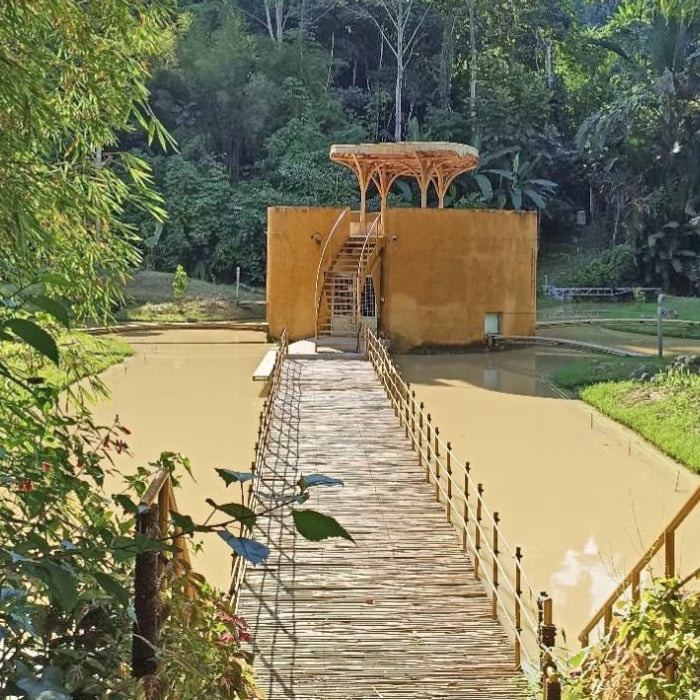 An orangutan house at Orangutan Haven. The yellow house is surrounded by water. It can be reached via a bamboo bridge.