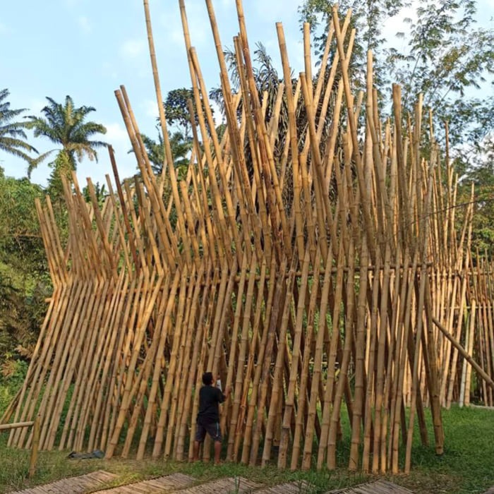 Bambus-Baumaterial in der Trocknung. Viele Bambusstämme stehen senkrecht an einem Gerüst unter freiem Himmel zum Trocknen.