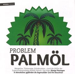 Grafik mit drei Palmen vor grünem Hintergrund und dem Text:"Problem Palmöl".