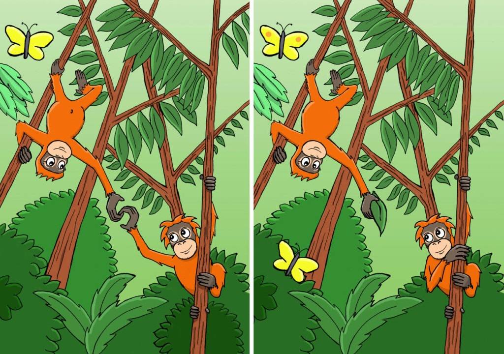 Es sind zwei fast identische Zeichnungen von Rimba und Nyala im Regenwald abgebildet, bei denen es gilt, die Unterschiede zu finden.